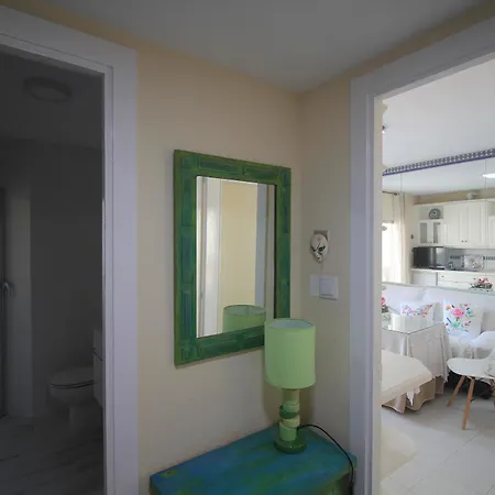 公寓 Almunecar Beach Apartment 阿尔姆尼卡